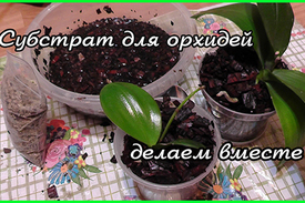 Как приготовить субстрат для орхидей