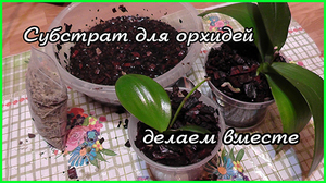 Как приготовить субстрат для орхидей