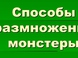 Как размножается монстера