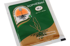 Препарат Корневин сп