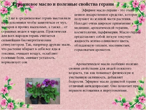Разновидности сортов герани