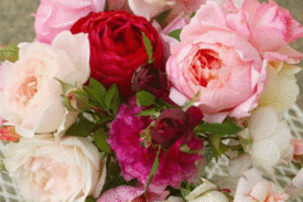English Roses