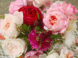 English Roses