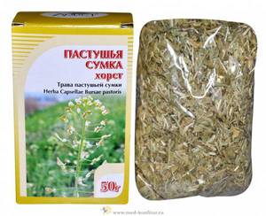 Растение пастушья сумка