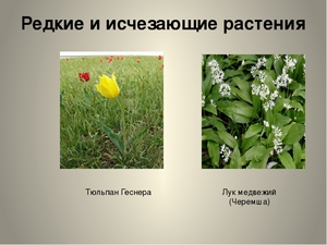 Список вымирающих растений