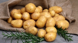 Картофель 