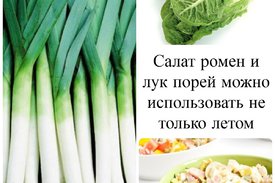 Описание сорта лука