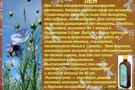 Растение Лён 