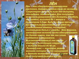 Растение Лён 