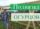 Как подвязать огурцы на грядке