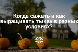 Подготовка семян