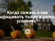 Подготовка семян