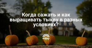 Подготовка семян