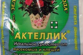 Как разводить актеллик