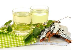 Лечебные и полезные свойства берёзы Шмидта
