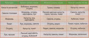 Как сажать морковь