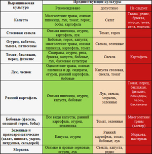 Соседство культур