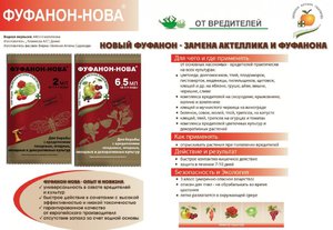 Фуфанон-Нова