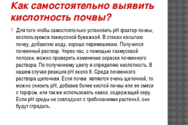 Чем определить кислотность почвы  