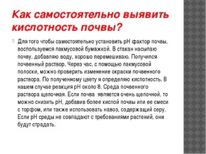 Чем определить кислотность почвы  