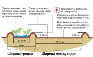 Осознанный выбор способа Митлайдера 