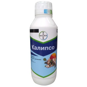 Калипсо как применять