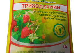 Инструкция по применению препарата