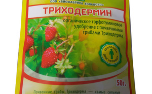 Инструкция по применению препарата