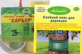 Как защитить плодовые деревья