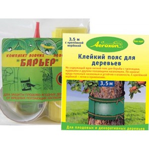Как защитить плодовые деревья