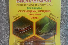 Инструкция по применению Фитоверма