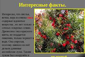 Информация о растениях