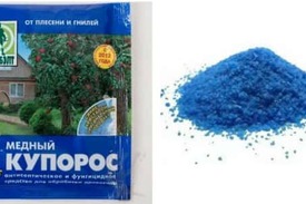 Применение медного купороса