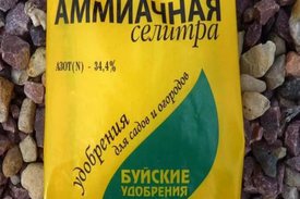 Способы применения аммиачной селитры
