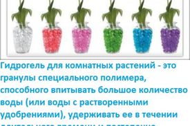 Применение гидрогеля для цветов
