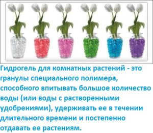 Применение гидрогеля для цветов