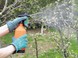 Обработка деревьев весной
