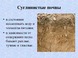Какая это суглинистая почва